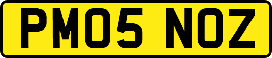 PM05NOZ