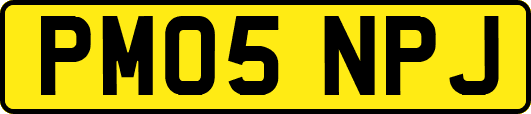 PM05NPJ