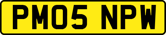 PM05NPW