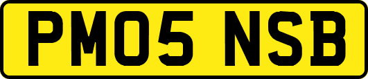 PM05NSB