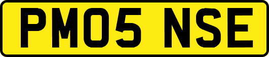 PM05NSE