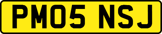 PM05NSJ