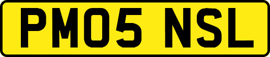 PM05NSL
