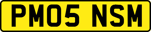 PM05NSM