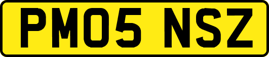 PM05NSZ