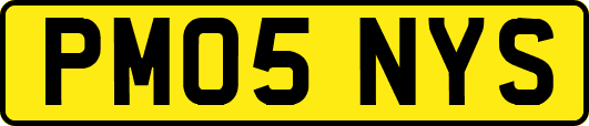 PM05NYS