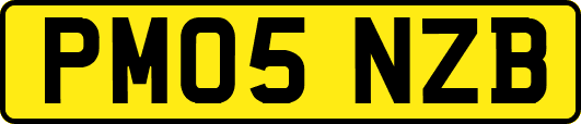 PM05NZB