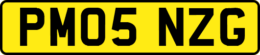 PM05NZG