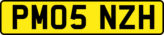 PM05NZH