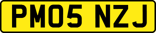 PM05NZJ