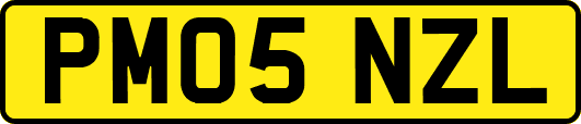 PM05NZL
