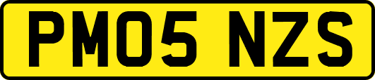 PM05NZS
