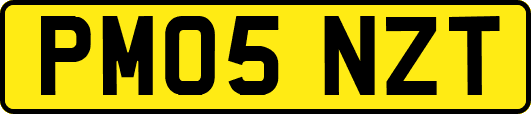 PM05NZT
