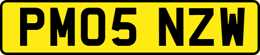 PM05NZW