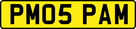 PM05PAM