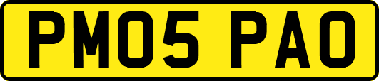 PM05PAO