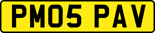 PM05PAV