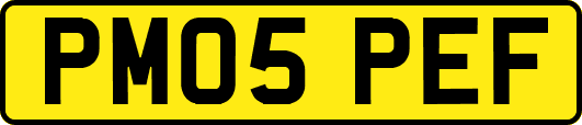 PM05PEF