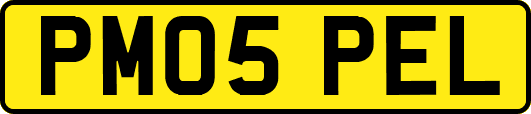 PM05PEL