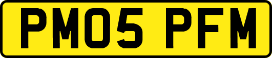 PM05PFM