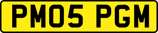 PM05PGM