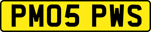 PM05PWS