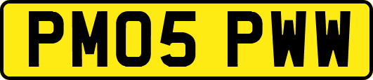 PM05PWW