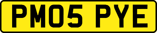 PM05PYE