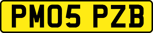 PM05PZB