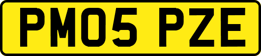 PM05PZE