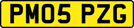 PM05PZG