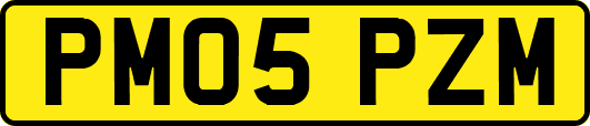 PM05PZM