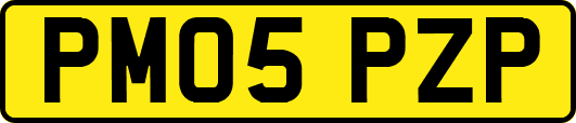 PM05PZP