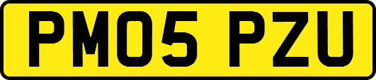 PM05PZU