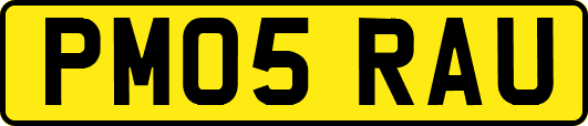 PM05RAU