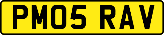 PM05RAV