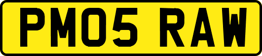 PM05RAW