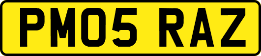 PM05RAZ