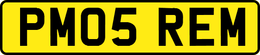 PM05REM