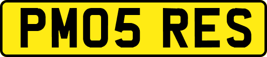 PM05RES
