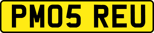PM05REU