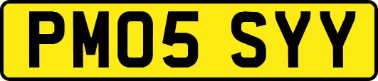 PM05SYY