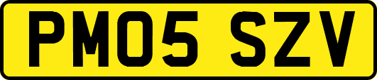 PM05SZV