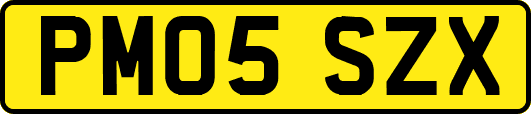 PM05SZX