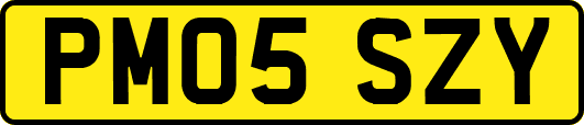 PM05SZY