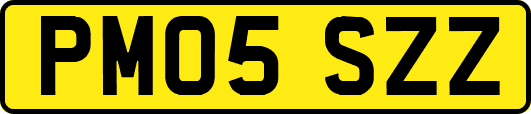 PM05SZZ