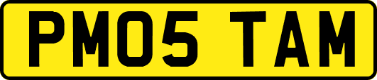 PM05TAM
