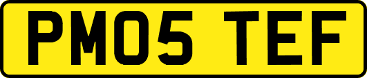PM05TEF