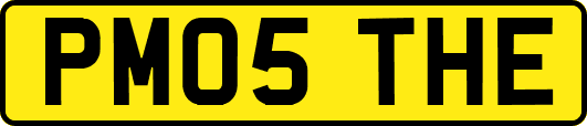 PM05THE