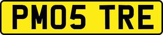 PM05TRE